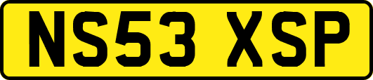 NS53XSP