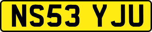 NS53YJU