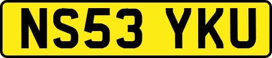 NS53YKU