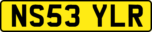 NS53YLR