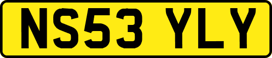 NS53YLY