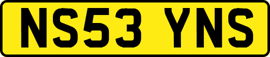 NS53YNS
