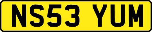 NS53YUM