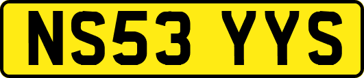 NS53YYS