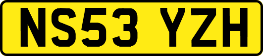 NS53YZH