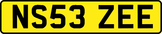 NS53ZEE