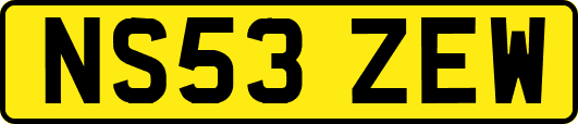 NS53ZEW