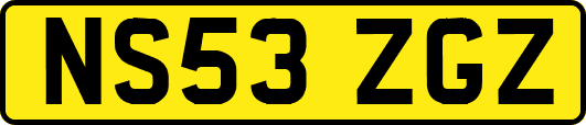 NS53ZGZ