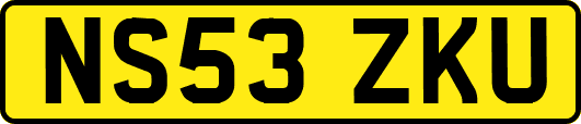 NS53ZKU