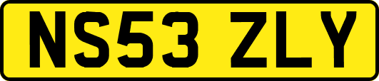 NS53ZLY