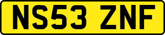 NS53ZNF