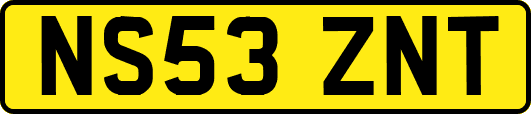 NS53ZNT