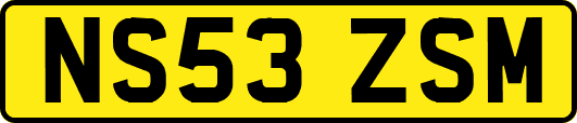 NS53ZSM