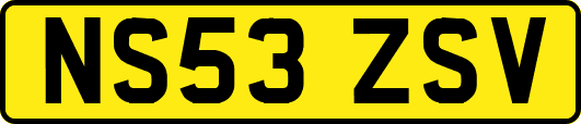 NS53ZSV