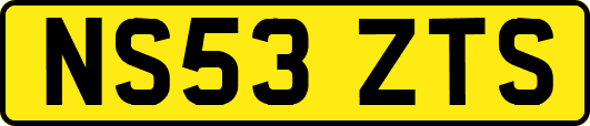 NS53ZTS