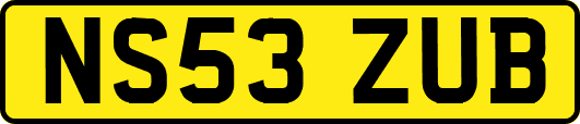 NS53ZUB