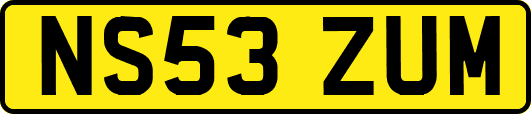 NS53ZUM