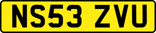 NS53ZVU