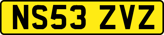 NS53ZVZ