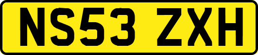 NS53ZXH