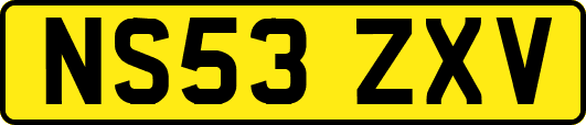 NS53ZXV