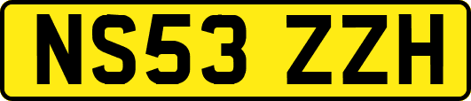 NS53ZZH