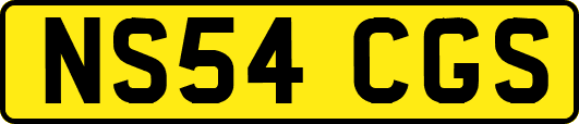 NS54CGS