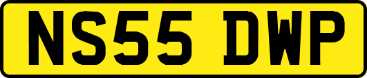NS55DWP