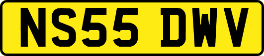 NS55DWV