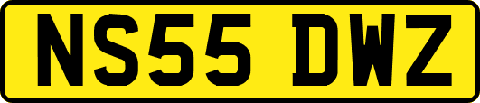 NS55DWZ