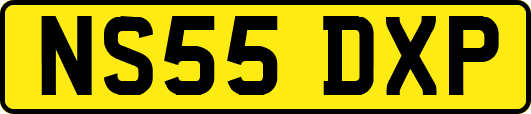 NS55DXP