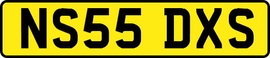NS55DXS