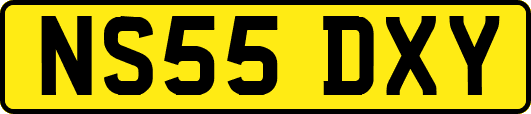 NS55DXY