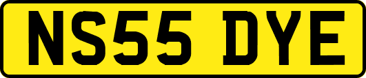 NS55DYE