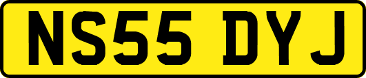 NS55DYJ