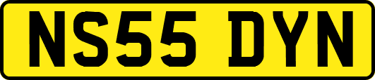NS55DYN
