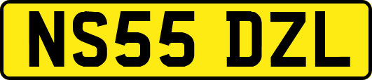 NS55DZL