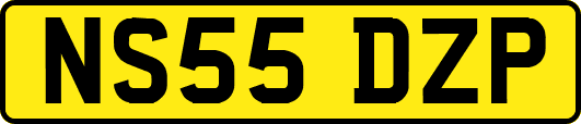 NS55DZP