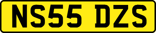 NS55DZS
