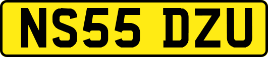 NS55DZU