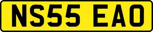 NS55EAO