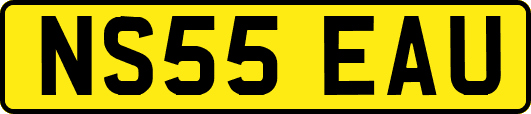NS55EAU