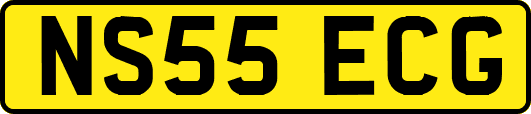 NS55ECG