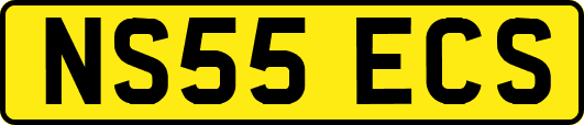 NS55ECS