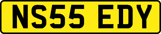 NS55EDY