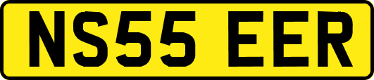 NS55EER