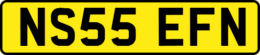 NS55EFN