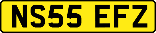 NS55EFZ