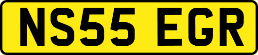 NS55EGR
