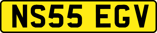 NS55EGV